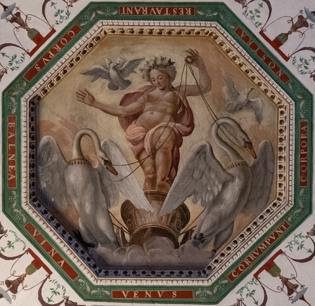 Datei:C3eb27c6-7152-45d3-a63a-34321a5d594d.png