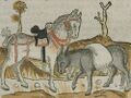 Landshut_Stadtresidenz_OG_8_Ahnengalerie_BSB_Steinhöwel_1477_78