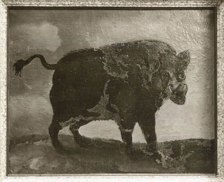 Datei:B5d39269-f2dd-4998-8194-dfa64167691a.jpg