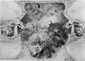 Vorschaubild der Version vom 09:12, 3. Apr. 2026
