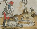 Landshut_Stadtresidenz_OG_8_Ahnengalerie_BSB_Steinhöwel_1477_78