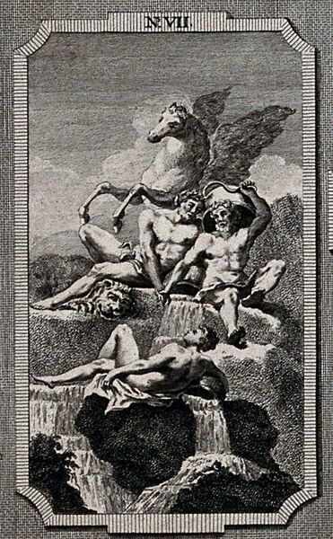 Datei:97462b26-1f09-4502-97d2-b2d6f8396fb7.jpg