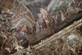 Vorschaubild der Version vom 03:42, 22. Jun. 2026