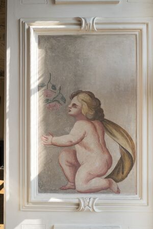 Fmd498200.jpg