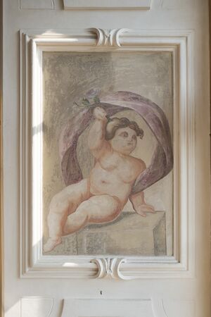 Fmd498202.jpg