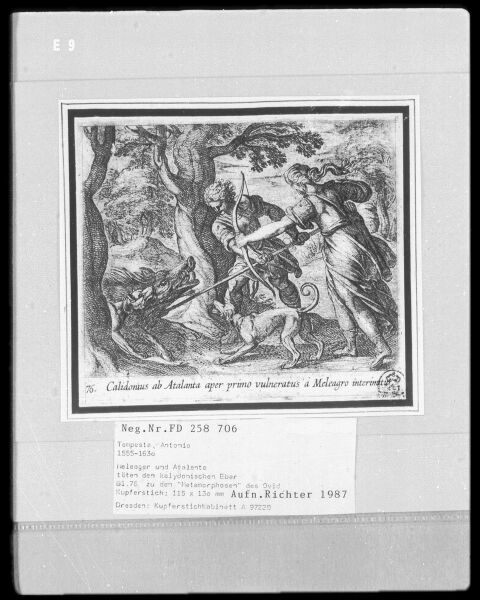 Datei:84ee24a0-b8b2-46ad-88aa-f079a853ec0a.jpg