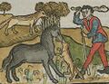 Landshut_Stadtresidenz_OG_8_Ahnengalerie_BSB_Steinhöwel_1477_78