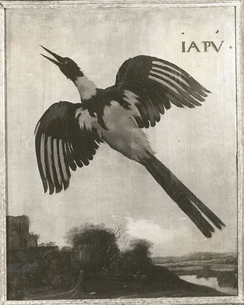 Datei:7b6fa074-9e36-4821-8f74-c277dbd0382f.jpg