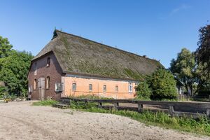 Fmd10026794.jpg
